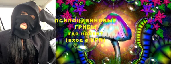a pvp Медногорск