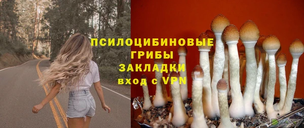 a pvp Медногорск