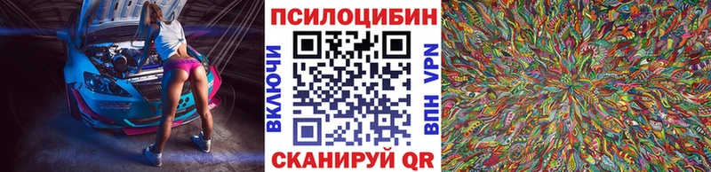 Галлюциногенные грибы Cubensis  Купить  Змеиногорск 